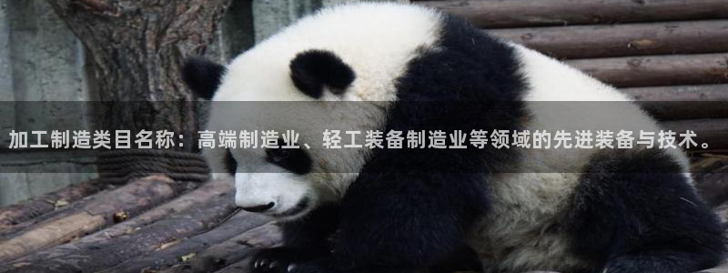 彩名堂预测软件