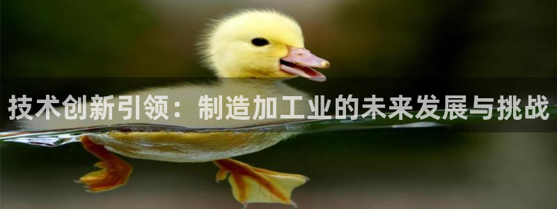 彩名堂怎么打不开了