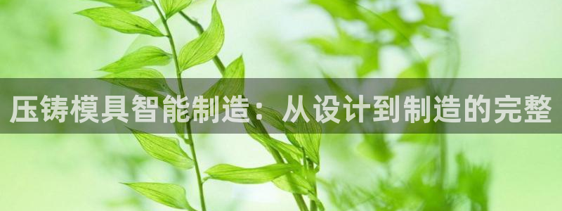 彩名堂人工预测免费计划
