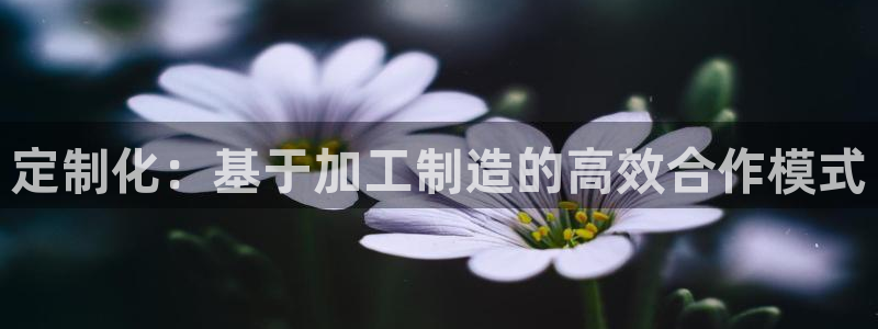 为什么彩名堂今天不能用