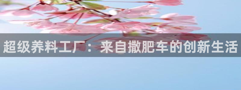 彩名堂计划怎么买胜率高