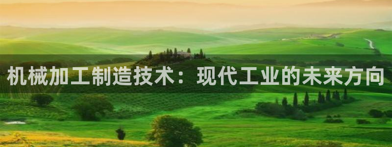 彩名堂使用方法