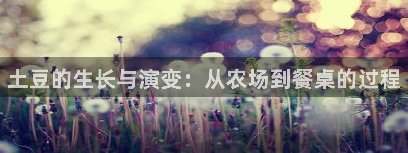 彩名堂在线下载