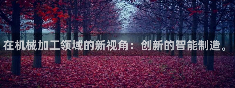 彩名堂怎么选稳定计划