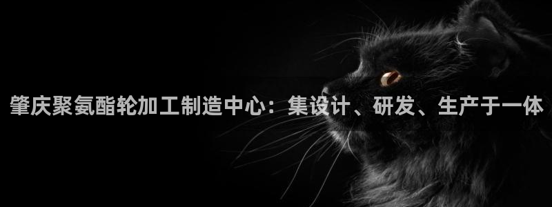 彩名堂免费计划软件下载