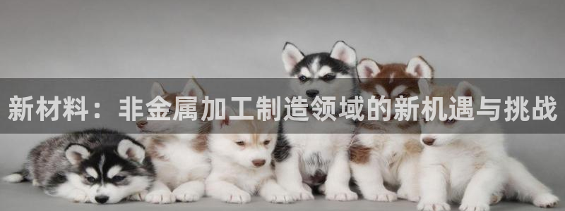 彩名堂跟哪种最好用