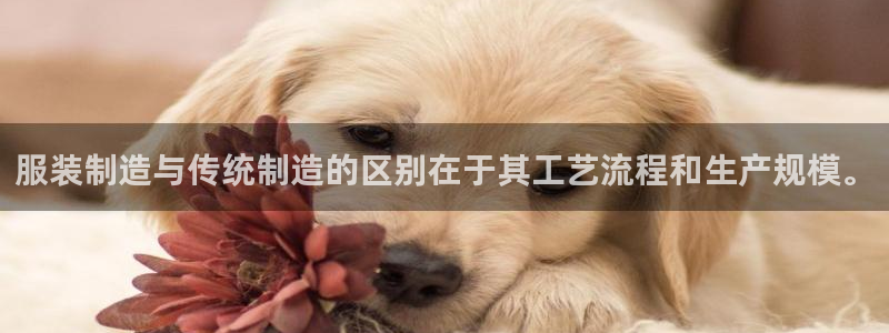 彩名堂计划app安卓免费下载