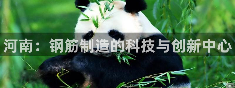 彩名堂计划app安卓免费下载