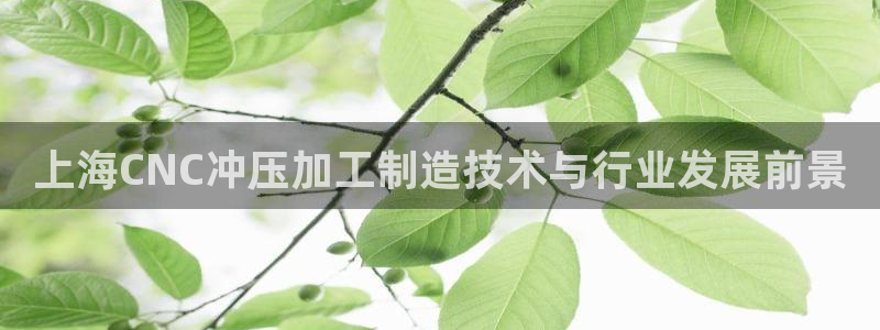 彩名堂975新版本