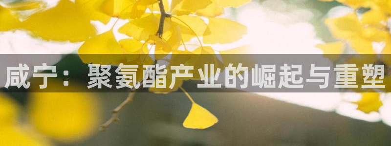 彩名堂免费计划官网5 0