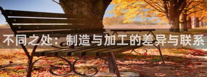 彩名堂开奖结果查询