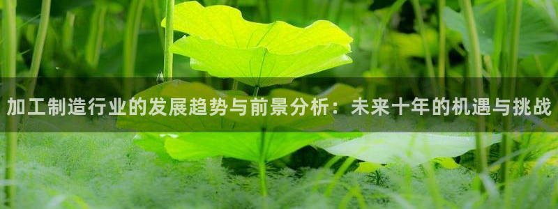 彩名堂计划最新版手机版