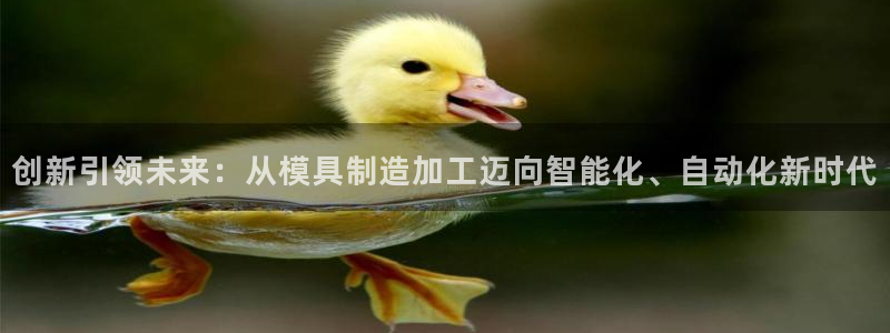 彩名堂怎么打最稳