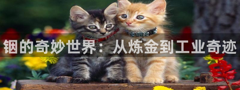彩名堂排三
