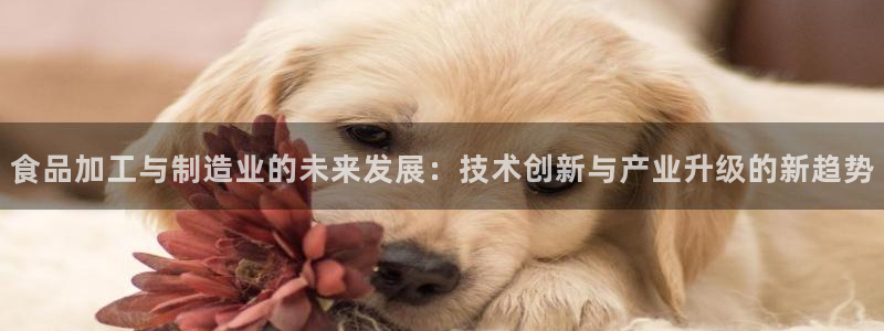 彩名堂免费计划官网购彩计划